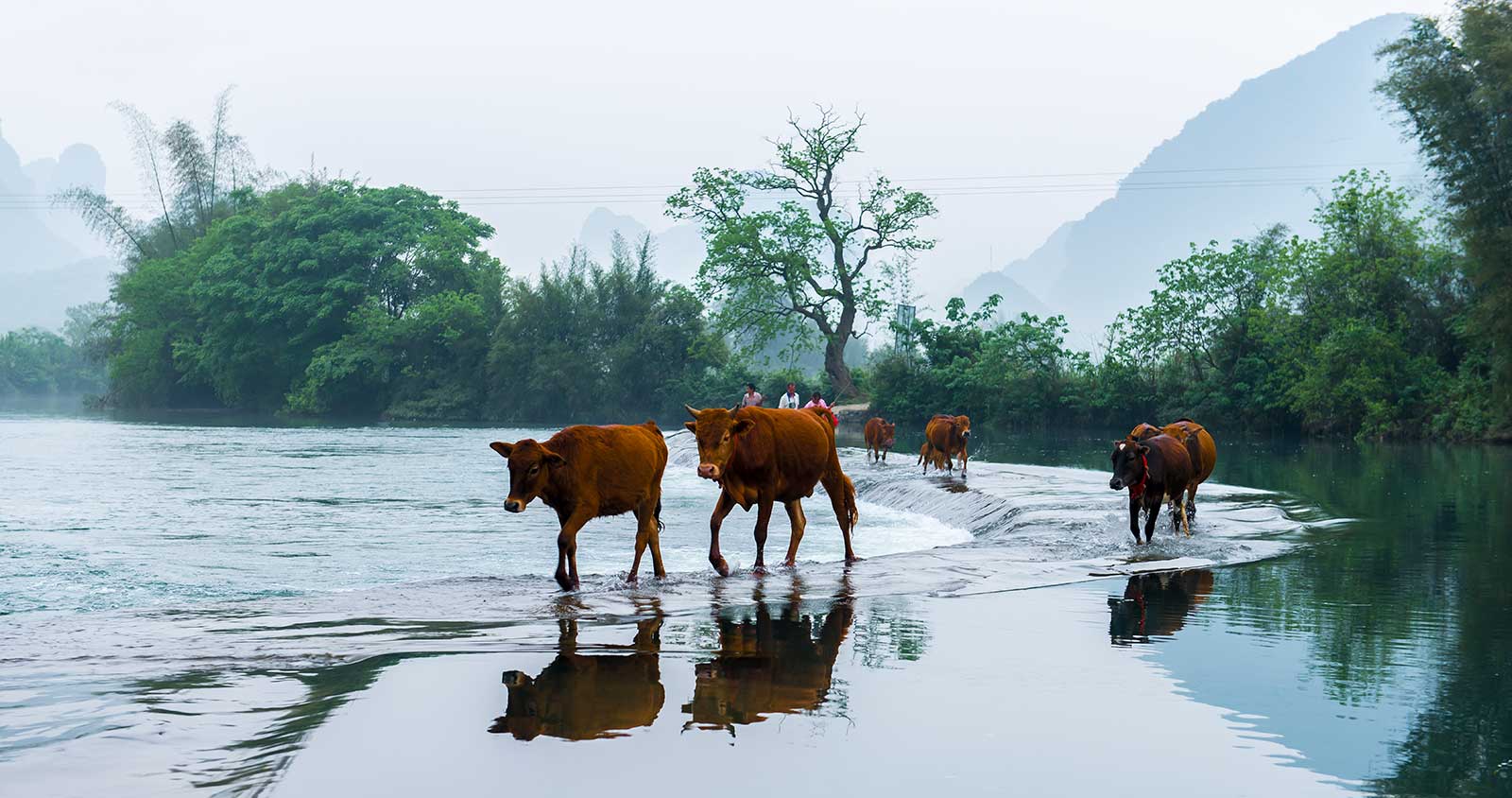 ����ȥ��2